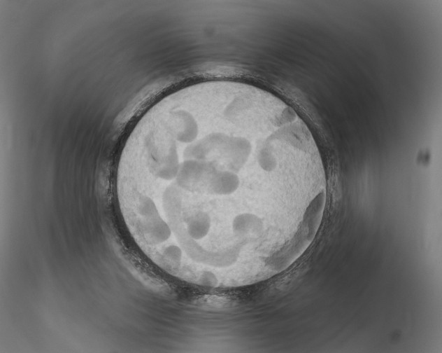 X0000115090159200912081243