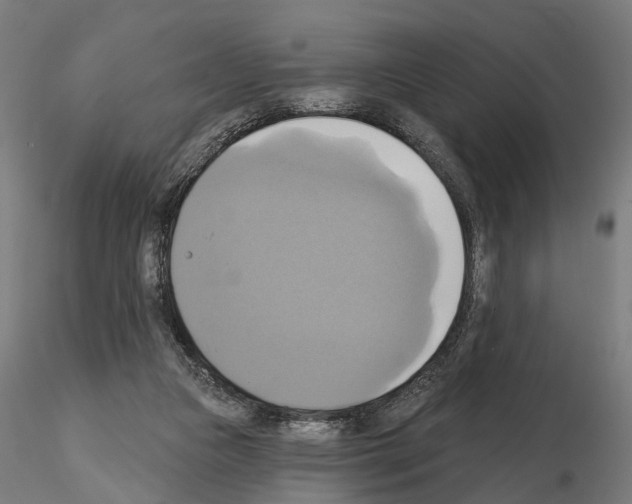 X0000115090161200912081243