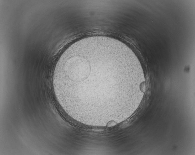 X0000115090162200912081243