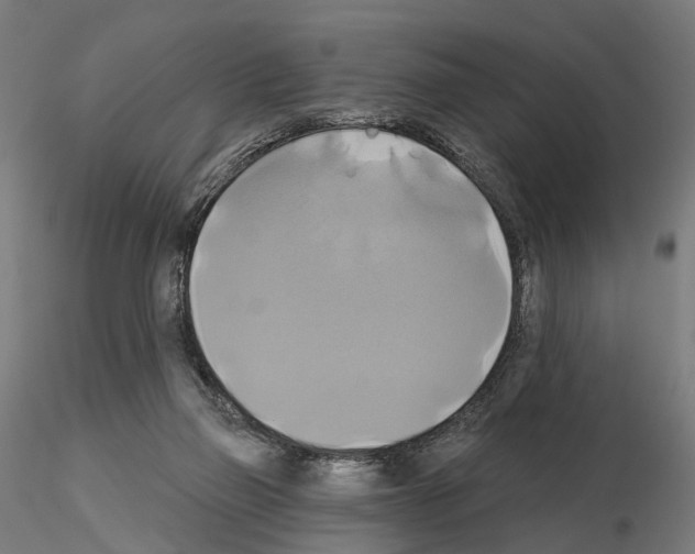 X0000115090165200912081243