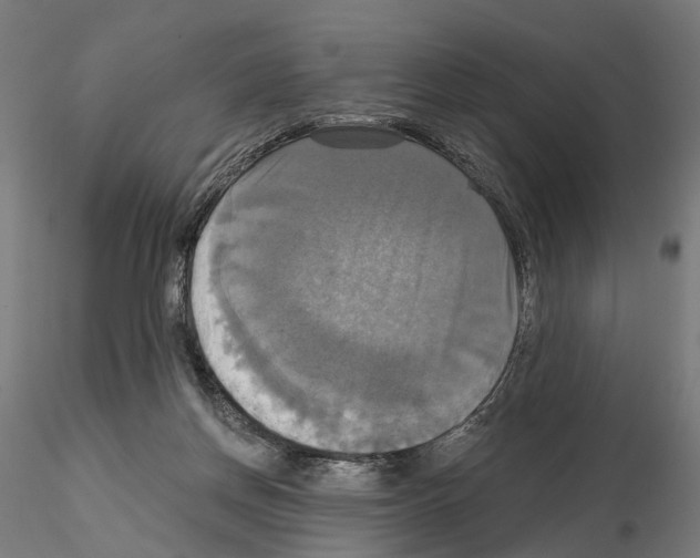 X0000115090166200912081243