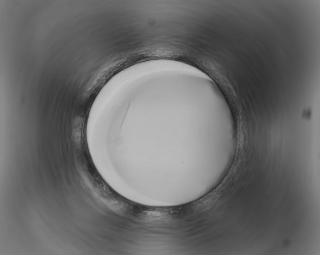 X0000115090167200912081243