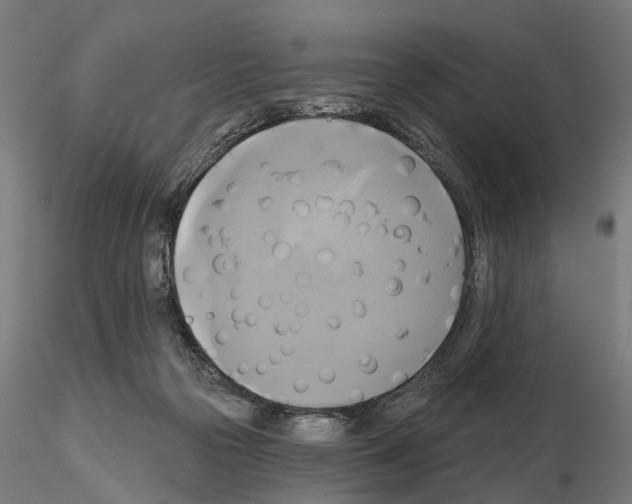 X0000115090169200912081243