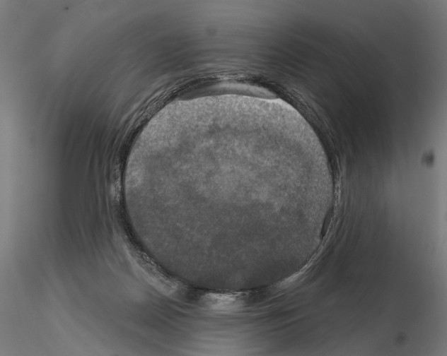 X0000115090170200912081244