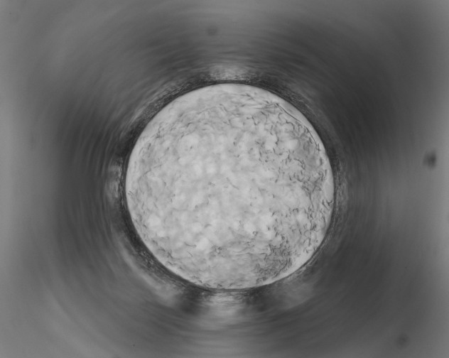 X0000115090171200912081244