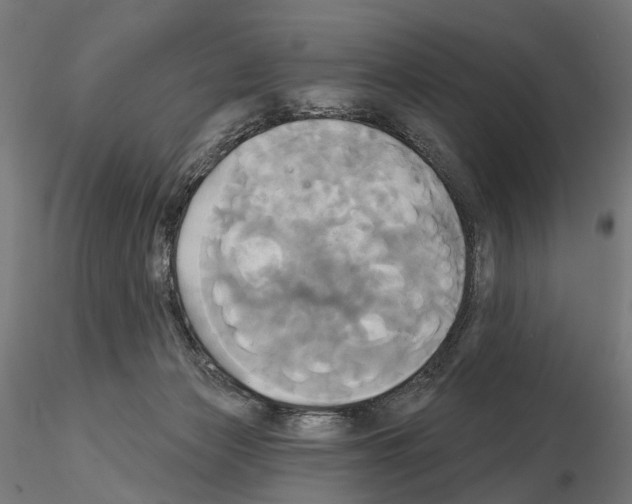 X0000115090173200912081244