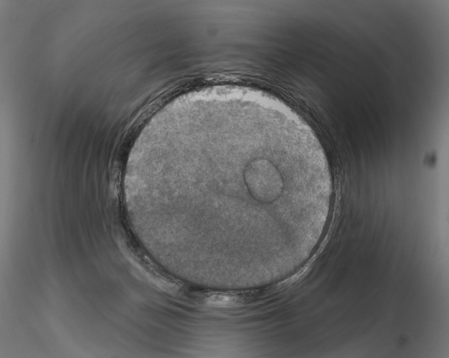 X0000115090174200912081244