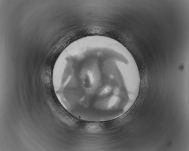 X0000115090175200912081244