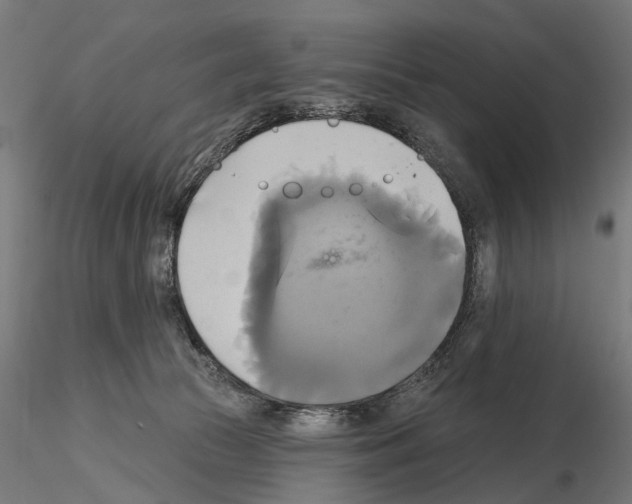 X0000115090177200912081244