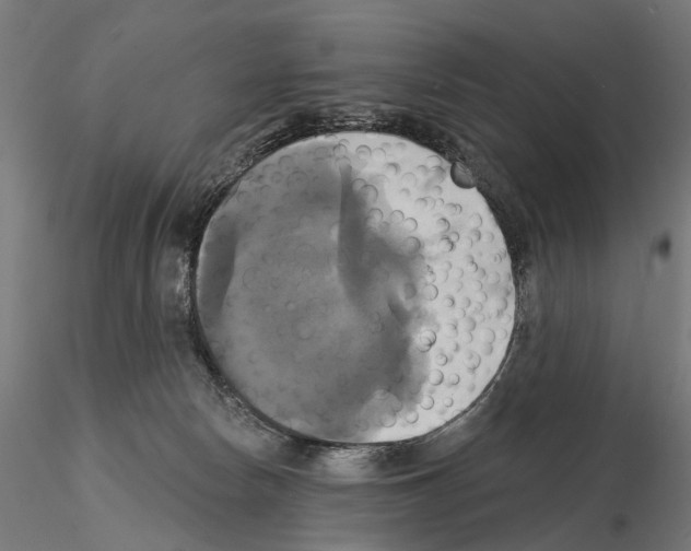 X0000115090178200912081244
