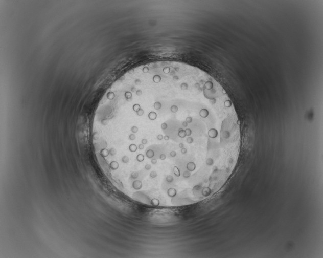 X0000115090179200912081244