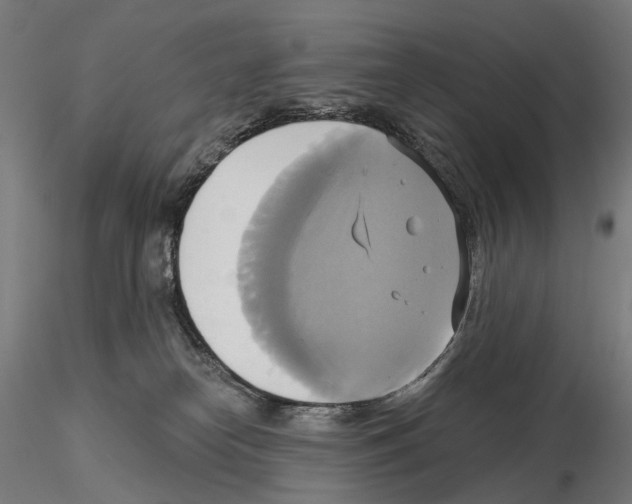 X0000115090182200912081244