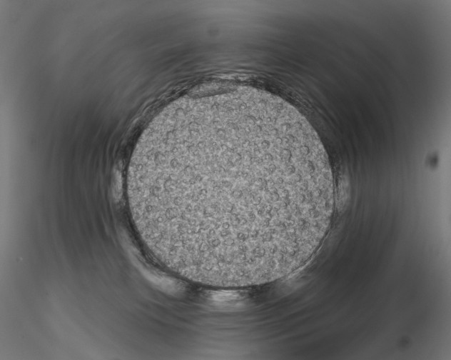 X0000115090183200912081244