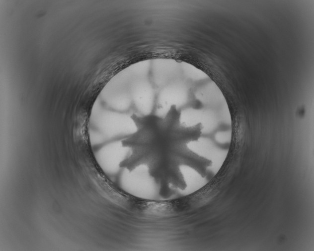 X0000115090185200912081244