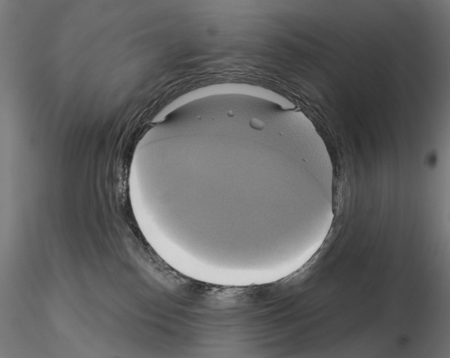 X0000115090186200912081244