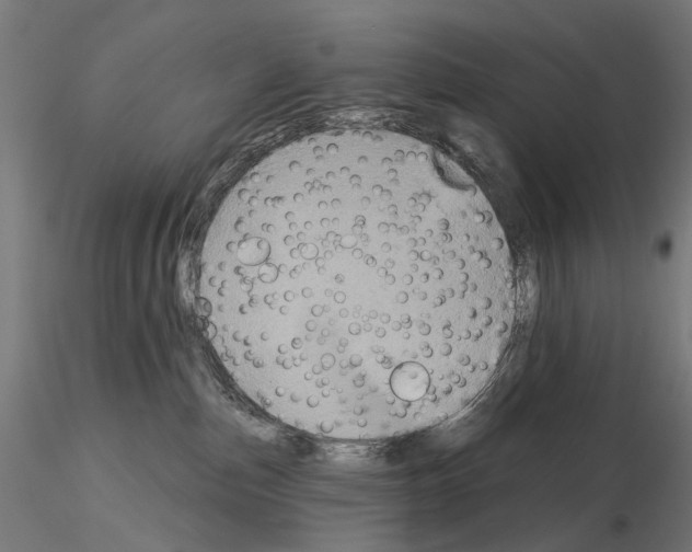 X0000115090187200912081244