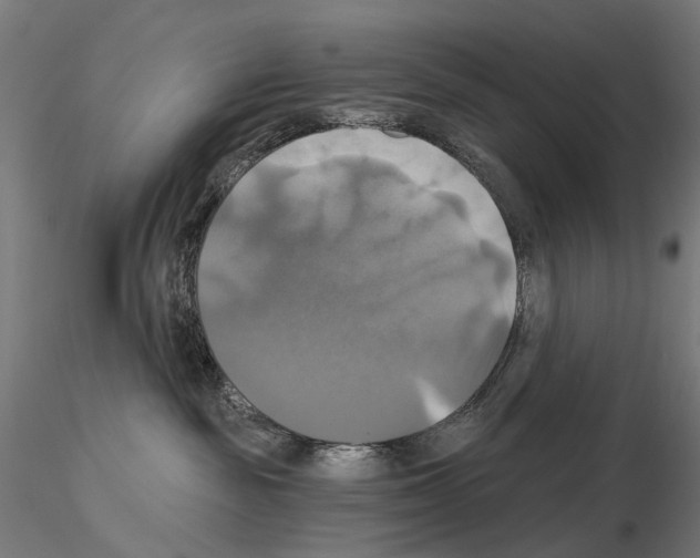 X0000115090189200912081244