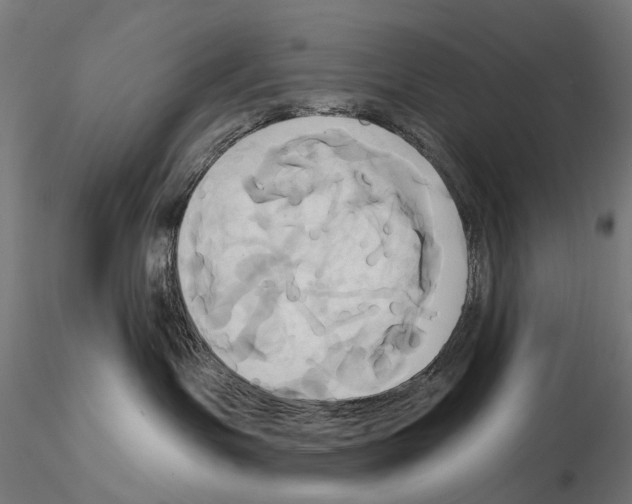 X0000115090191200912081244