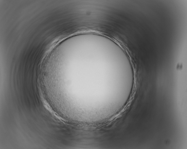 X0000115090193200912081243