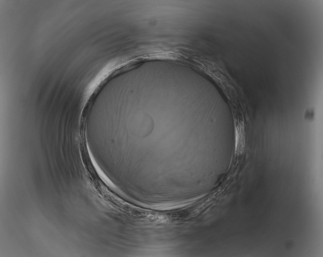 X0000115090195200912081243
