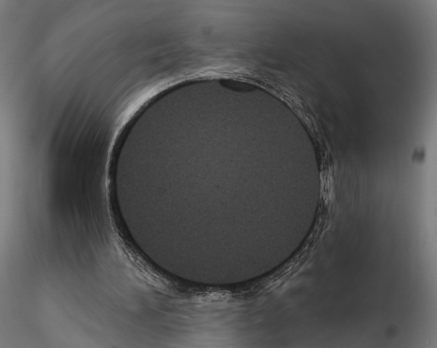 X0000115090196200912081243