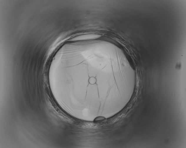 X0000115090198200912081243