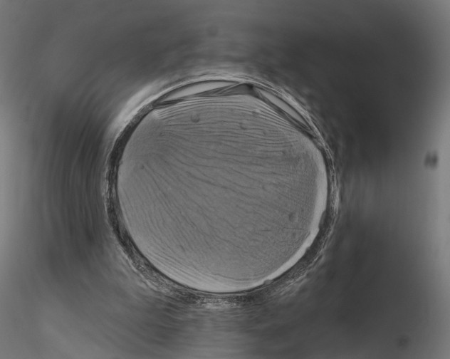 X0000115090199200912081243