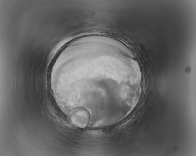 X0000115090200200912081243