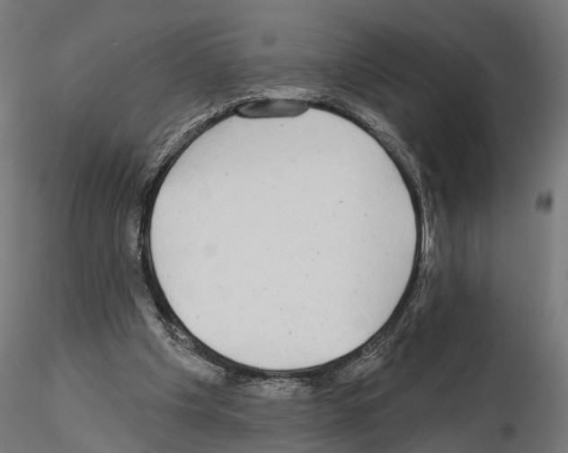 X0000115090201200912081243