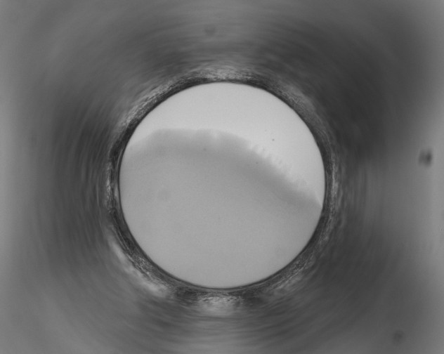 X0000115090202200912081243