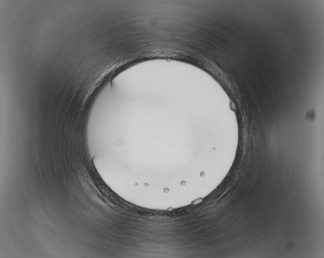 X0000115090203200912081243