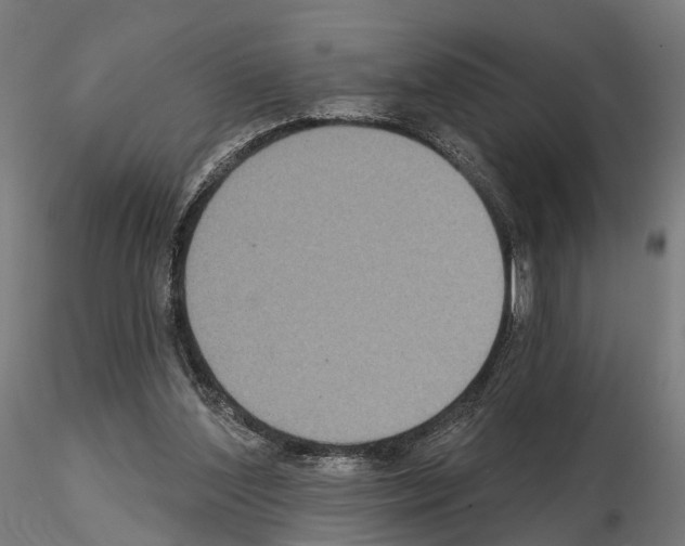 X0000115090204200912081243