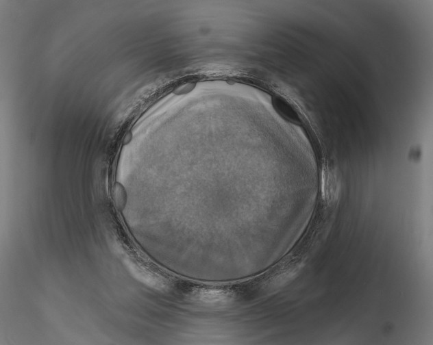 X0000115090205200912081243
