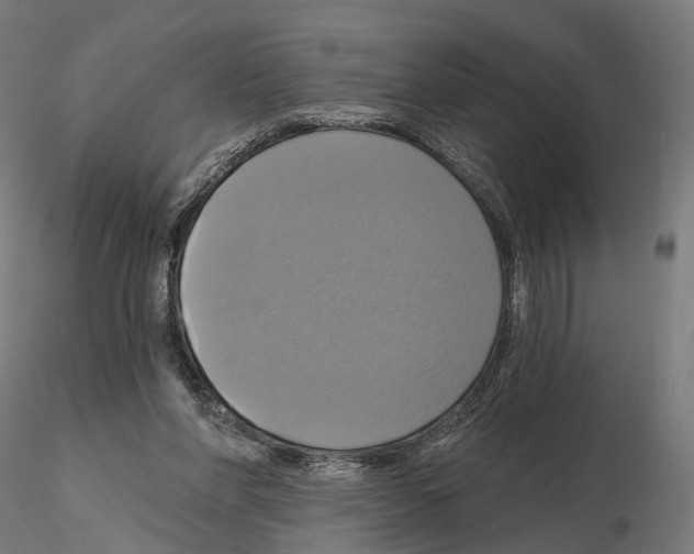 X0000115090206200912081243