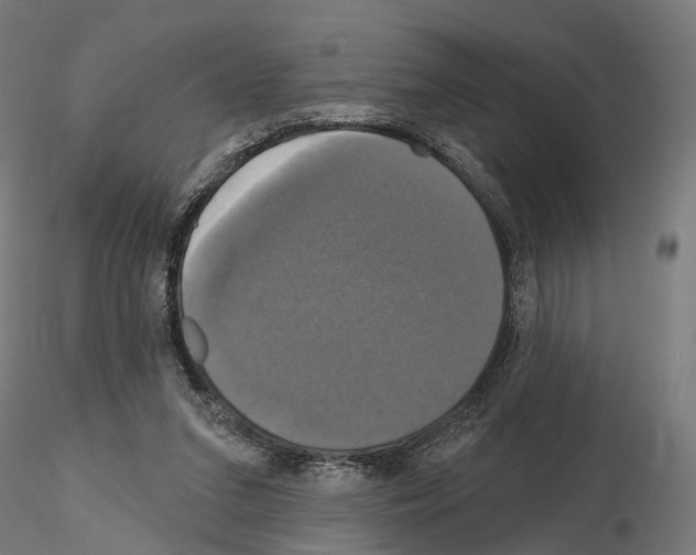 X0000115090207200912081243
