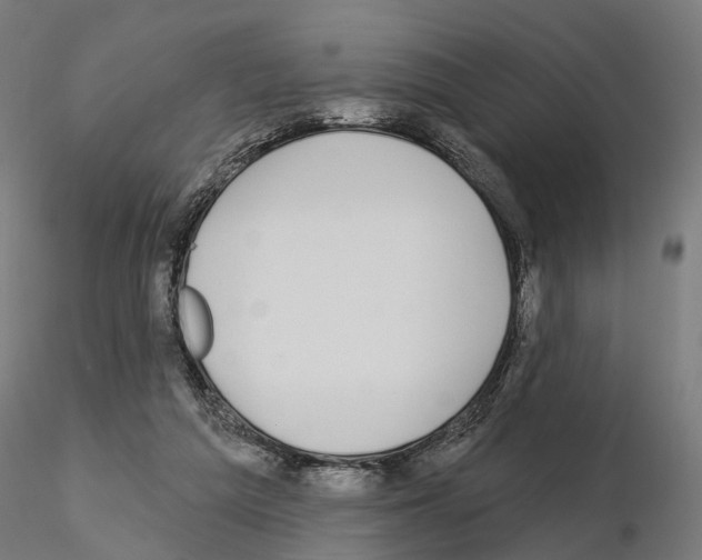 X0000115090209200912081243