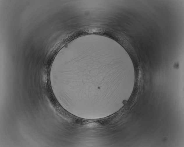 X0000115090210200912081243
