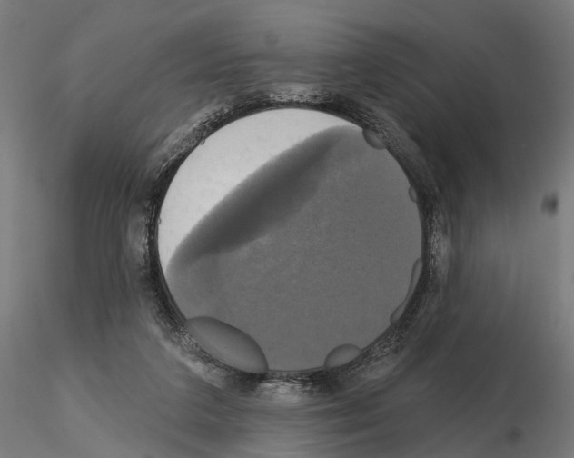 X0000115090211200912081243