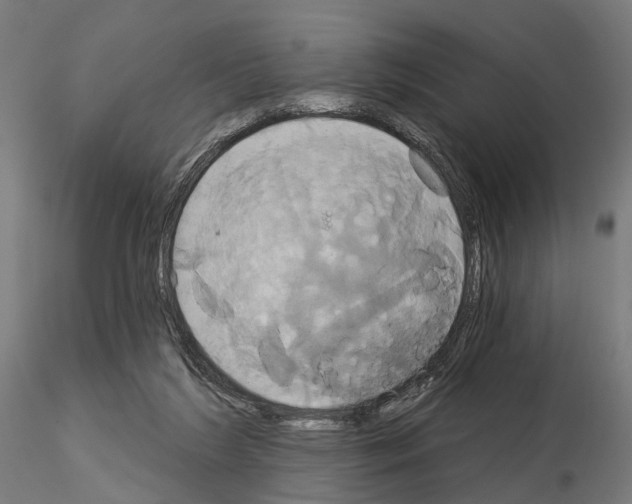 X0000115090212200912081243
