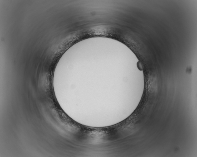 X0000115090213200912081243