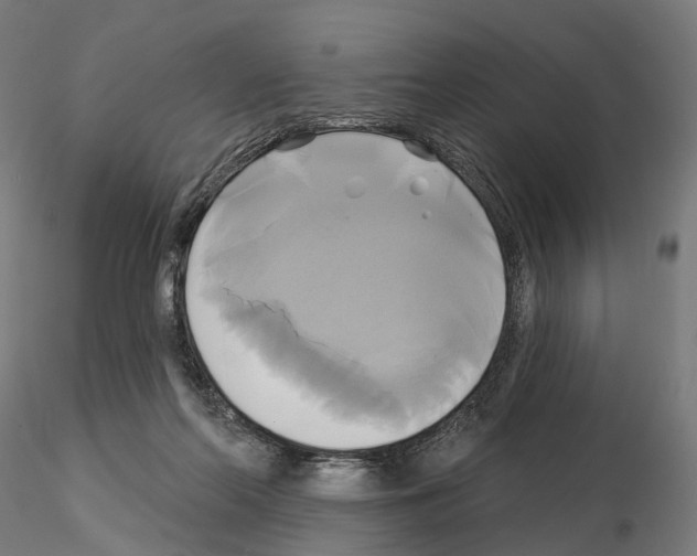 X0000115090214200912081243