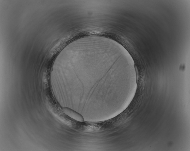 X0000115090215200912081243