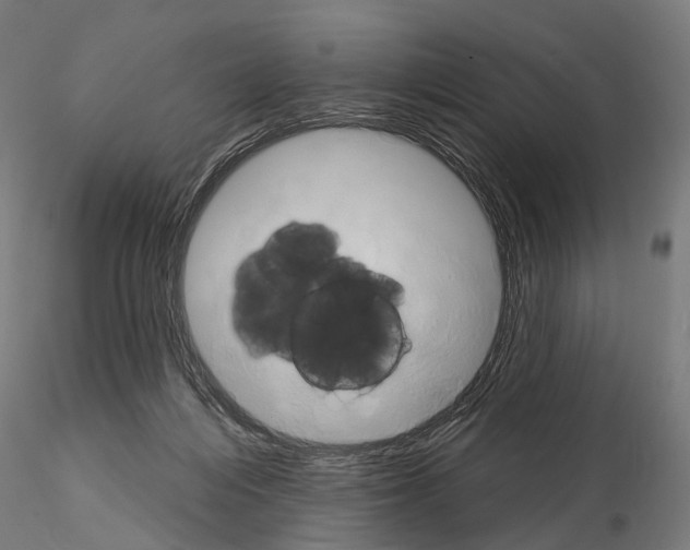 X0000115090216200912081243