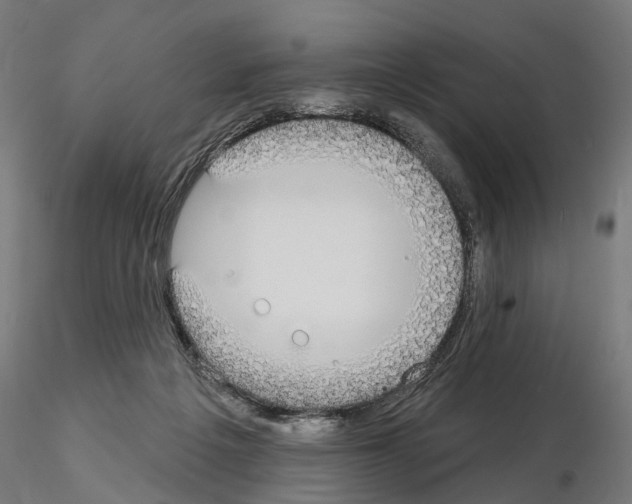 X0000115090217200912081243