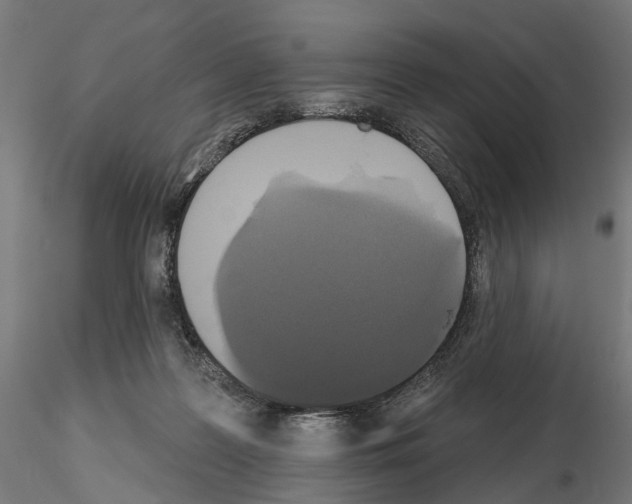 X0000115090219200912081243