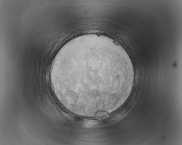 X0000115090220200912081243