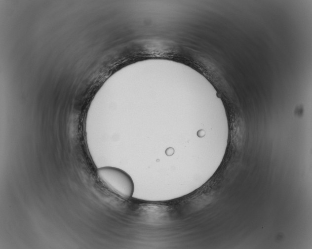 X0000115090221200912081243