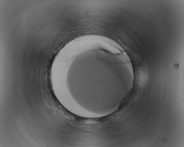 X0000115090223200912081243