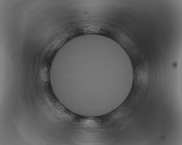 X0000115090224200912081243
