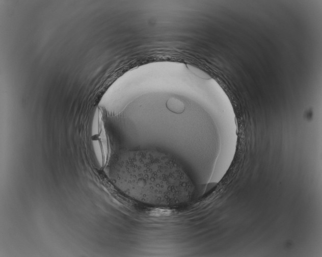 X0000115090227200912081243